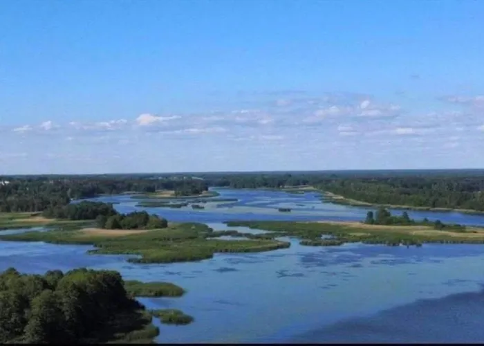 Sunny House - Narew, Lacha